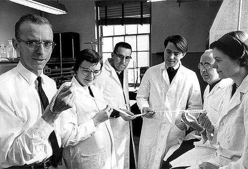scientists at work
